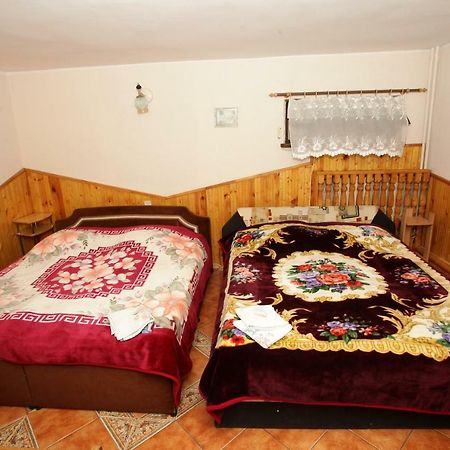 Vila Pas Justina Παλάγκα Εξωτερικό φωτογραφία